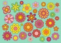 Sixties flowers