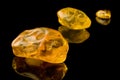 Sixty Million Year Old Baltic Amber