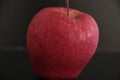 Organic apples on a black background