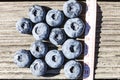 Size of blueberries tall or American blueberries in millimeters Royalty Free Stock Photo