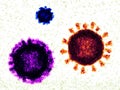 Size comparison between norovirus, coronavirus and influenza virus