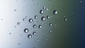 In size the droplets reflect light creating a striking contrast with the Royalty Free Stock Photo