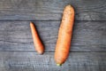 Size matters concept - small carrot vs big one, self validation and estimation idea Royalty Free Stock Photo