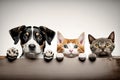 Row of the tops of heads of cats and dogs with paws up, peeking over a blank white sign, AI generated Royalty Free Stock Photo