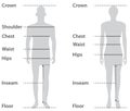 Sizing on male and female body Royalty Free Stock Photo