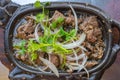 Sizzling beef fillet on iron platter with onion and coriander