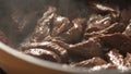 Sizzling Beef Strips in Pan with steam.