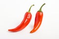 Sizzling Duo: The Striking Appeal of Two Vivid Chili Peppers