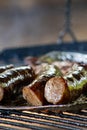 Sizzling sausage barbecue over campfire on a vibrant evening. Royalty Free Stock Photo