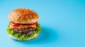 Sizzling Savory Homemade Burger on a Tranquil Blue and White Visualscape