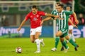 SK Rapid vs. Hapoel Tel Aviv