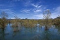 Skadar lake