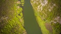 Nature, Lake Skadar, Montenegro