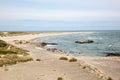 Skagen beach