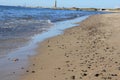 Skagen Graa Fyr, lighthouse. Royalty Free Stock Photo