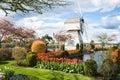 Skagit Valley Tulip Town Festival Windmill Garden Royalty Free Stock Photo