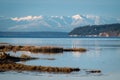 Skagit Wildlife Area, Fir Island Farm Reserve.