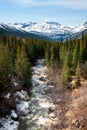 Skagway River in the Tongass National Forest, Alaska Royalty Free Stock Photo