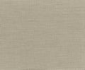 Skanirovaniya texture rough light brown cream fabric - natural canvas tarpaulin.