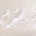 Skate web icon