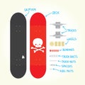 Skateboard isolated vector parts