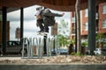 Skateboarder doing a Ollie Over a Bike Rack Royalty Free Stock Photo