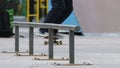 Skater make trick nollie lipslide on rail in skatepark, close-up view slowmotion