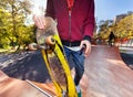 Skateboarder in park halfpipe Royalty Free Stock Photo