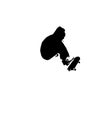 Skateboarding silhouette