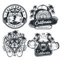 Skateboarding vintage labels