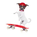 Skater boy dog Royalty Free Stock Photo