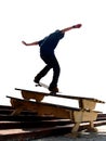 Skater Nosegrind Royalty Free Stock Photo