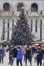 Skaters on ice with Christmas tree in the background Royalty Free Stock Photo