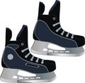 Skates Royalty Free Stock Photo