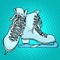 Skates winter sports