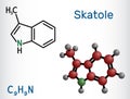 Skatole, 3-methylindole molecule. Belong to the indole family. Structural chemical formula, molecule model.