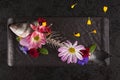 Skelet of fish with flowers from above