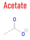 Skeletal formula of Acetate anion, chemical structure.