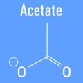 Skeletal formula of Acetate anion, chemical structure