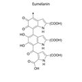 Skeletal formula of Chemical element