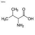 Skeletal formula of Valine