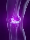 Skeletal knee Royalty Free Stock Photo