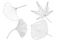 Skeletal  Leaves lined design and Leaf pattern black  on white background Royalty Free Stock Photo