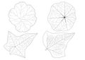 Skeletal Leaves lined design and Black line on white background Royalty Free Stock Photo