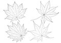 Skeletal Leaves lined design and Leaf pattern black on white background