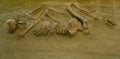 Skeletal remains Museum of Lepenski Vir in Serbia Royalty Free Stock Photo