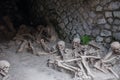 Skeletal remains of victims of the AD 79 Vesuvius eruption, Herculaneum, Italy Royalty Free Stock Photo