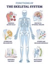 Functions of skeletal system or bone anatomical functionality outline diagram