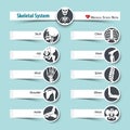 Skeletal System . medical sticky note style
