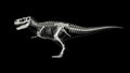 Skeletal system of Tyrannosaurus rex, side view Royalty Free Stock Photo